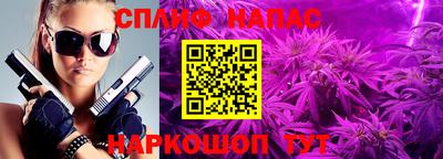шишки Апшеронск