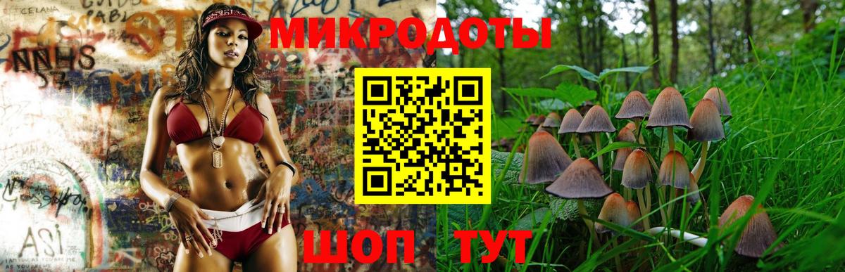 Псилоцибиновые грибы Cubensis  Галлюциногенные грибы Psilocybine cubensis  Городец  Вход с VPN 